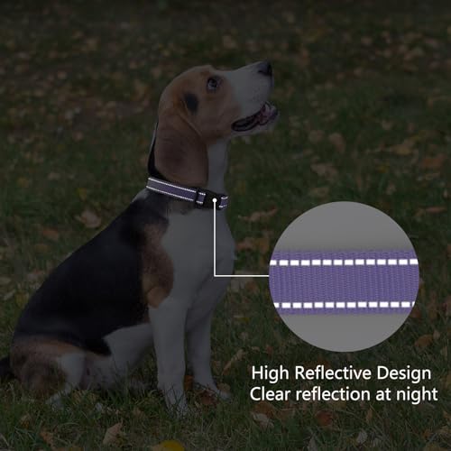 Soft neoprene lining on Penseepet reflective dog collar