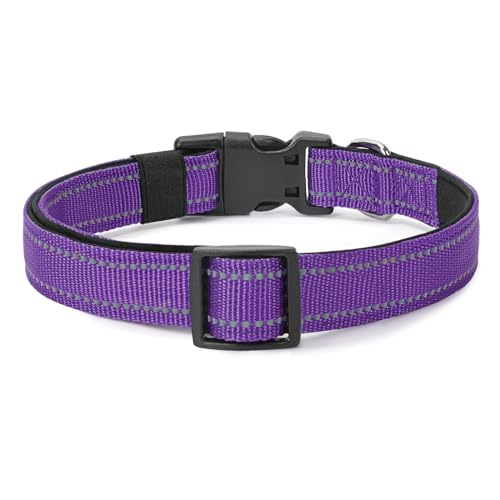 Profile view of Penseepet medium dog collar in purple