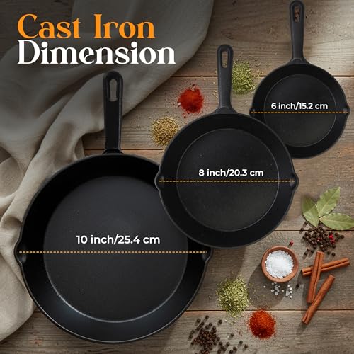 10-inch black cast iron skillet