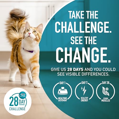 Purina ONE Indoor Advantage cat food brand logo