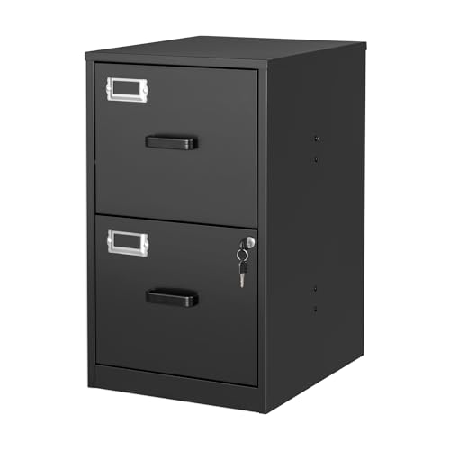 BYNSOE 2 Drawer File Cabinet
