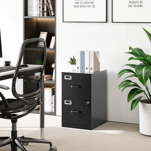 BYNSOE Office Home File Cabinet