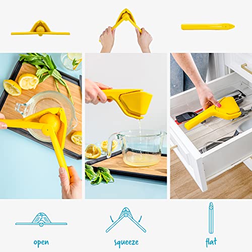 Fluicer juicer folding flat for storage