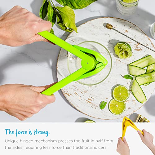 Fluicer juicer pouring juice into a glass
