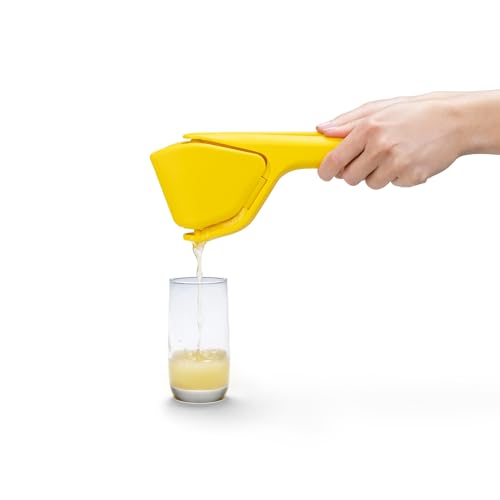 Top down view of the lemon Fluicer
