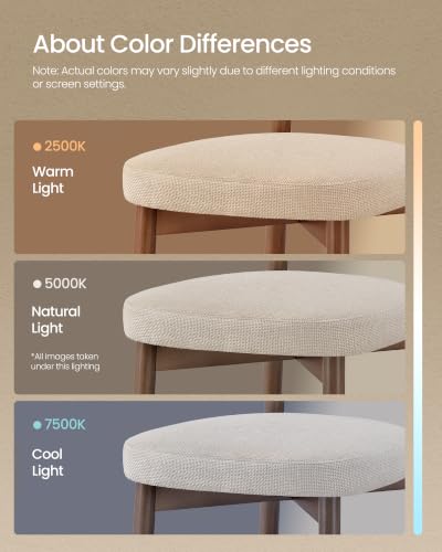 Full set of four dining chairs in a modern interior