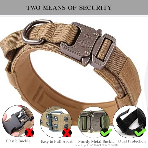 Heavy duty metal buckle on dog collar