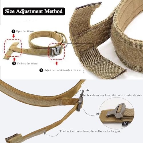 Inside view of padded dog collar lining