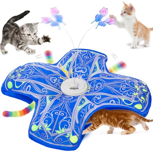Qraxond blue interactive cat toy set