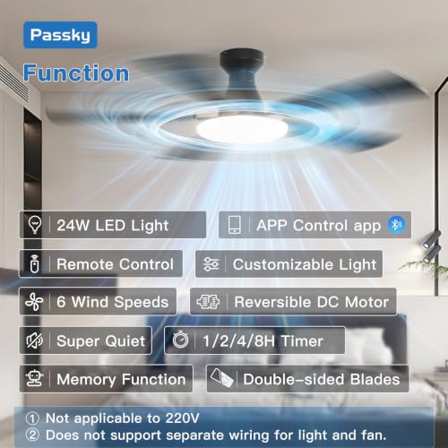 Passky fan remote control features