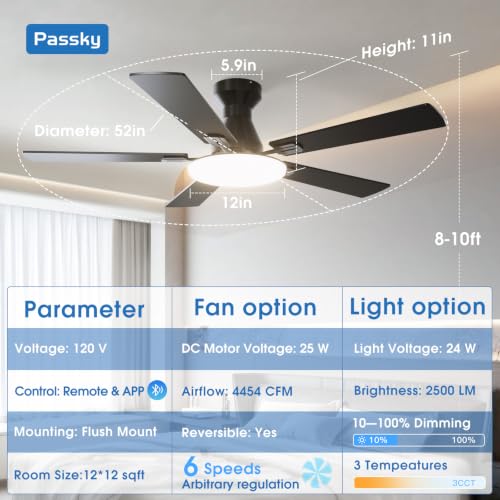 Close up of Passky ceiling fan black motor housing