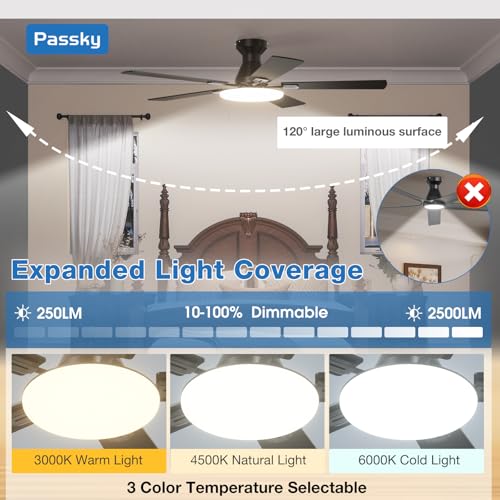 Passky fan light kit detail