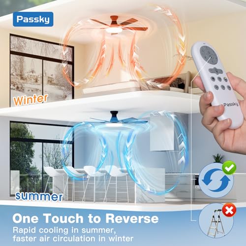 Passky ceiling fan installed in a living room