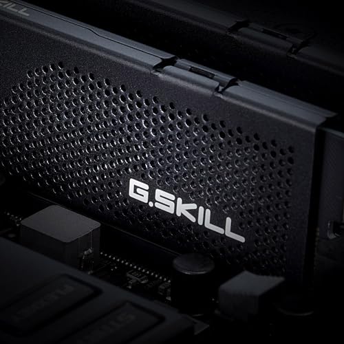 G.SKILL Flare X5 packaging and modules