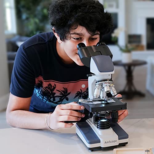 AmScope B120C-E1 fly-eye lens detail