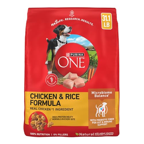 Purina ONE Chicken & Rice 31.1 lb bag front view
