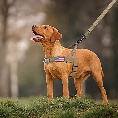 Annchwool harness adjustment straps