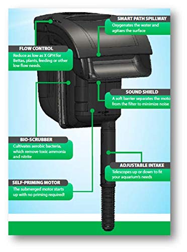 Tetra Whisper IQ submerged motor view