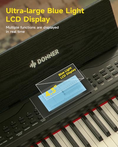 Donner DDP-95 weighted keys