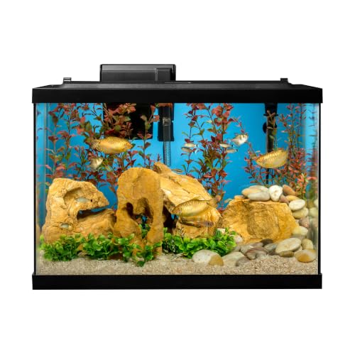 Tetra Complete 20 Gallon Fish Tank Kit