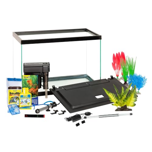 Glass aquarium with hinged hood