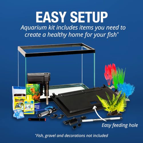 Heater and thermometer for aquarium