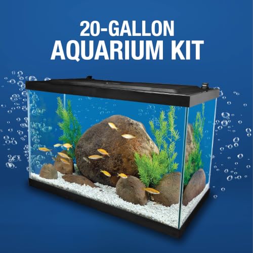 Included aquarium food and conditioner samples