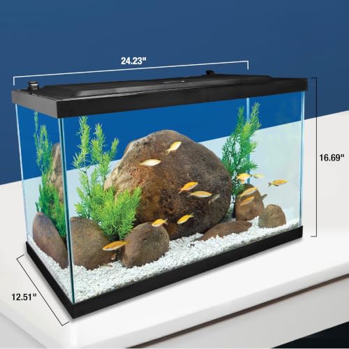 Complete Tetra 20 gallon fish tank setup