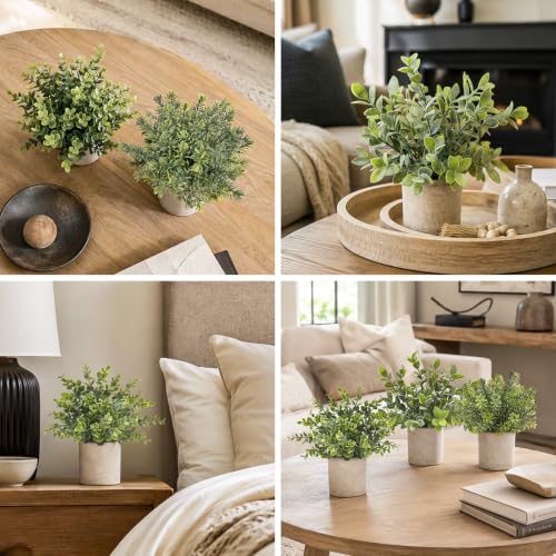 Der Rose desk plants in paper pulp pots