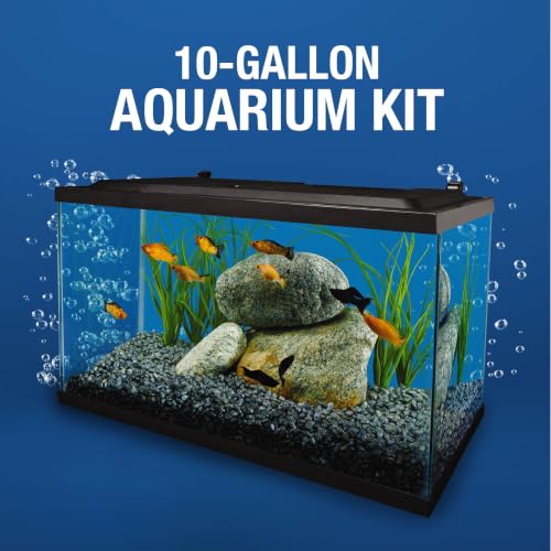 LED lighting system on Tetra aquarium