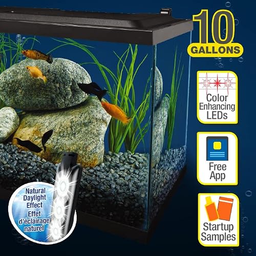 Tetra fish food sample for kit
