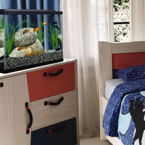 Aquarium setup and maintenance guide