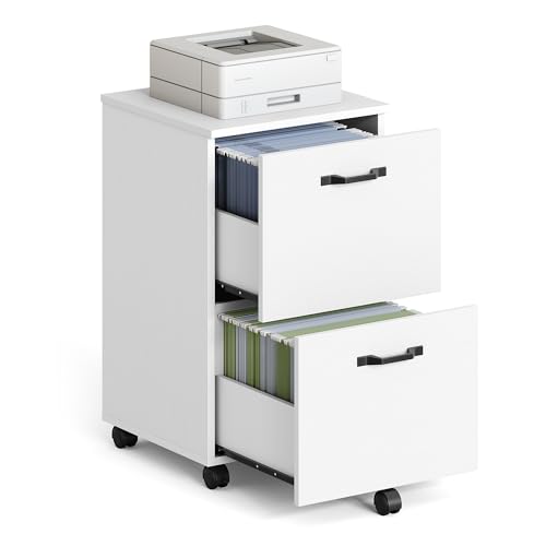 VASAGLE 2-Drawer File Cabinet Snow White