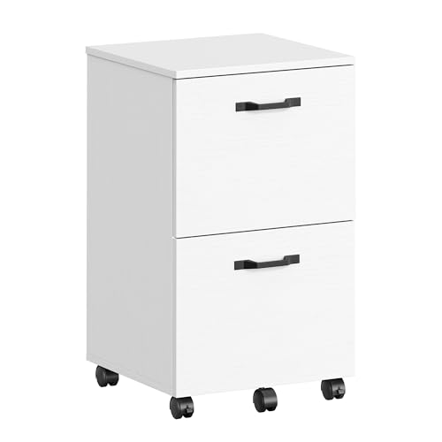 VASAGLE file storage solution