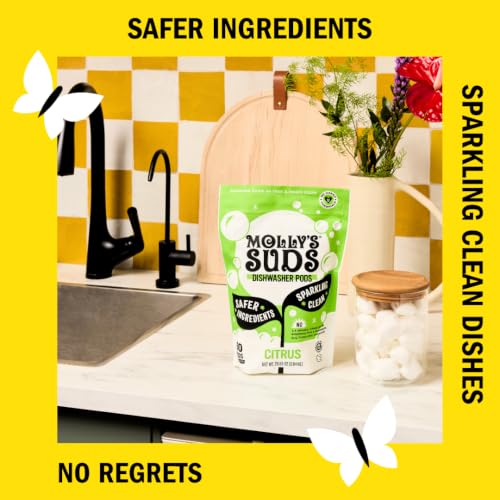 Close up of Molly's Suds cleaning tabs
