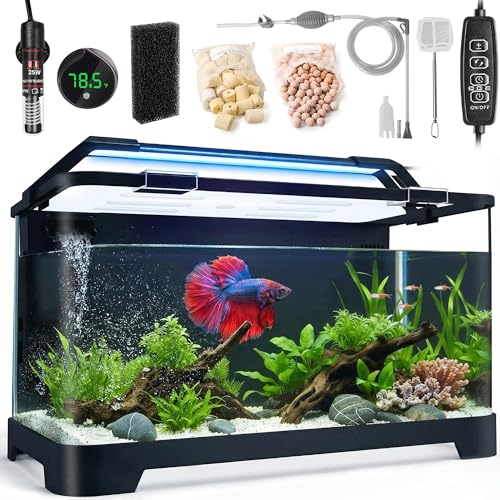 eWonLife 3.5 Gallon Betta Fish Tank front view