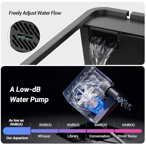 eWonLife Betta tank showing the digital thermometer display