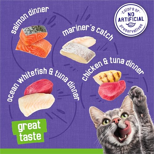 Friskies Pate Wet Cat Food with chicken flavors