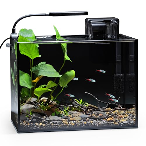 NICREW 2.5 Gallon Nano Nature Aquarium black front view