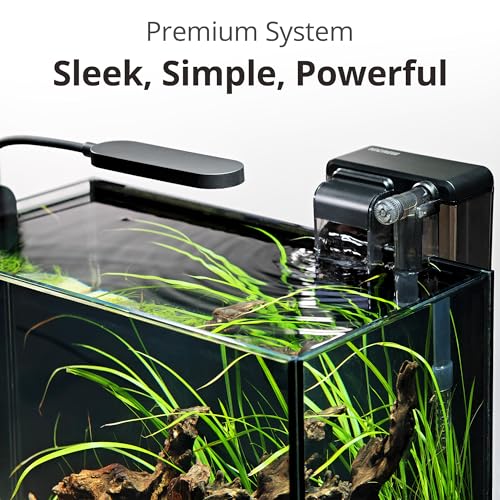 NICREW aquarium filtration and lighting system
