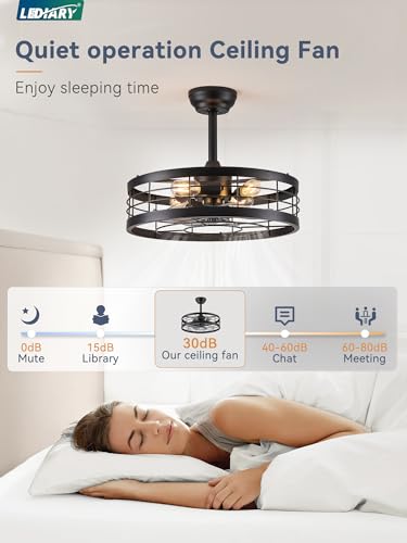 LEDIARY caged ceiling fan with light