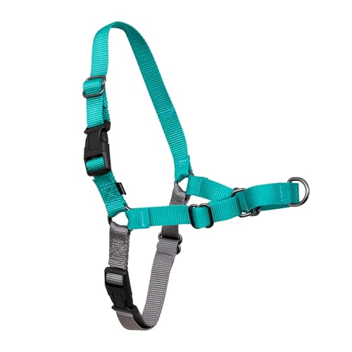 PetSafe Easy Walk Harness Teal Medium front view