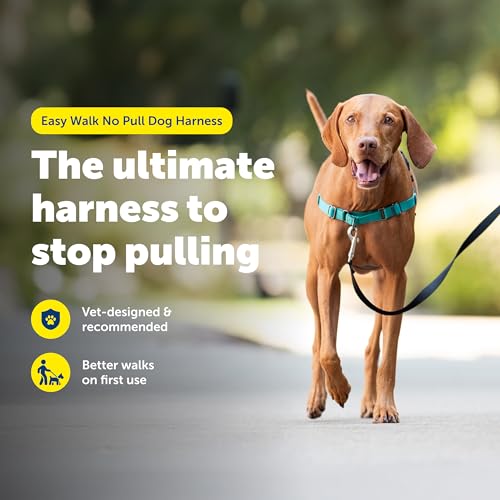 PetSafe Easy Walk Harness side profile