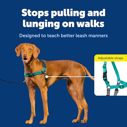 Close up of PetSafe front leash attachment