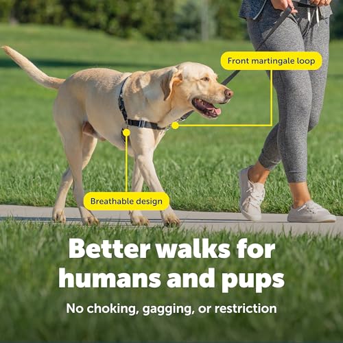 PetSafe Easy Walk harness color-coded straps