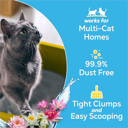 Purina Tidy Cats packaging branding