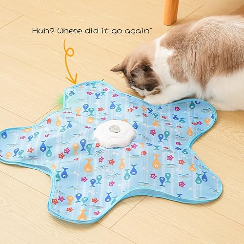 Cat interacting with the AQPU motion toy