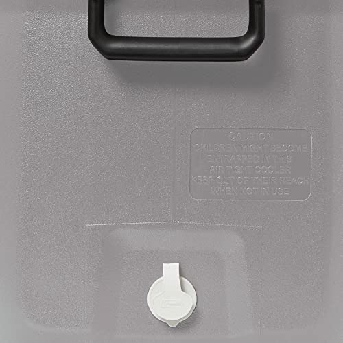 Coleman cooler lid showing built-in ruler feature