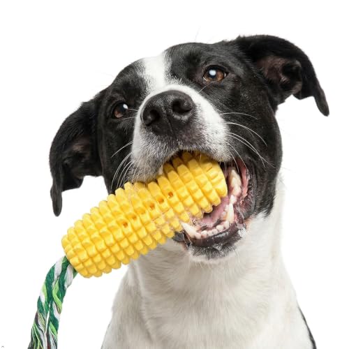 Yellow dog toy for dental health