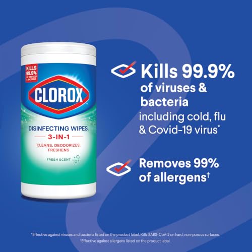 Clorox Disinfecting Wipes pack ready for home use